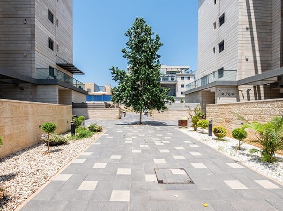 ¿_נ____פ___ש_ƒ-19