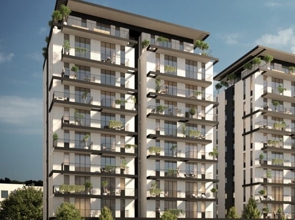 הדמיה לאתר - גלעינית 1