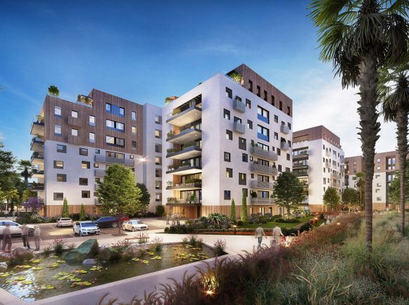 חיננית יפו 1