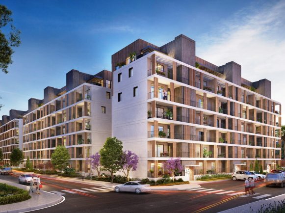 חיננית יפו 2 (1)