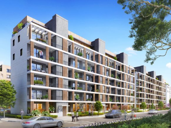 חיננית יפו 3 (1)