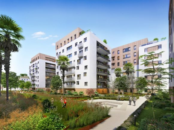 חיננית יפו 4 (1)