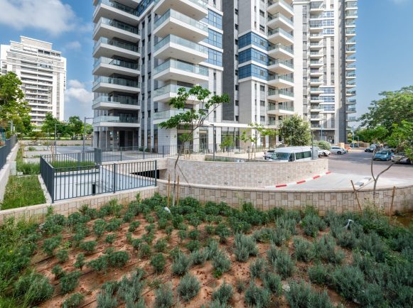 לבנון-20-פארק-scaled