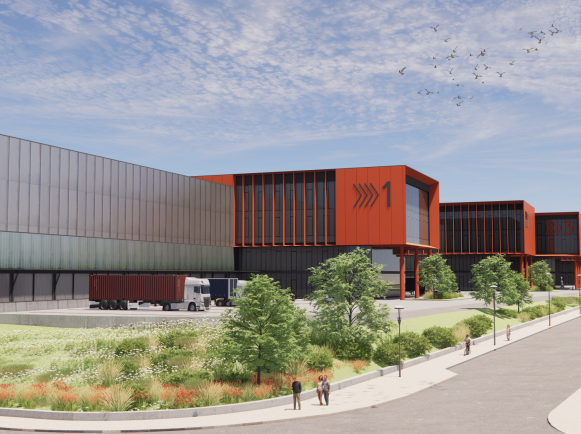 מבוא כרמל הדמיה-4