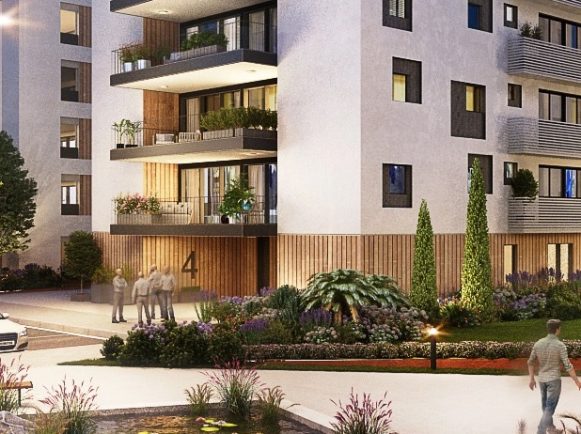 תמונת האדר (1)